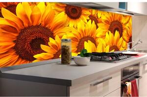 DIMEX | Fototapeta do kuchyně Slunečnice KI-180-051 | 180 x 60 cm | žlutá, hnědá