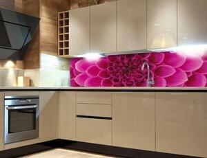DIMEX | Fototapeta do kuchyně Růžová jiřina KI-180-049 | 180 x 60 cm | růžová
