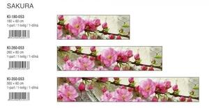 DIMEX | Fototapeta do kuchyně Sakura KI-180-053 | 180 x 60 cm | zelená, růžová