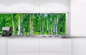 DIMEX | Fototapeta do kuchyně Březový háj KI-180-044 | 180 x 60 cm | zelená, bílá, černá