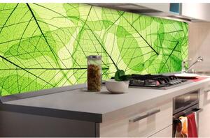 DIMEX | Fototapeta do kuchyně Žilky listů KI-180-048 | 180 x 60 cm | zelená