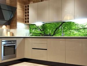 DIMEX | Fototapeta do kuchyně Koruny stromů KI-180-046 | 180 x 60 cm | zelená, hnědá