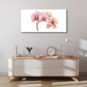 Obraz na plátně Obraz na plátně Malování květin větve
