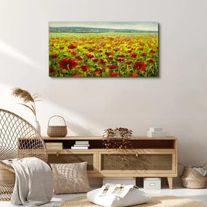 Obraz na plátně Obraz na plátně Malování květiny louka maki