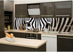 KI-260-016 Fototapeta do kuchyně Zebra | 260 x 60 cm