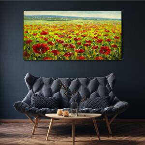 Obraz na plátně Obraz na plátně Malování květiny louka maki