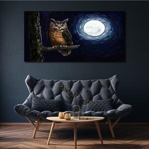 Obraz na plátně Obraz na plátně strom větev sova noční měsíc