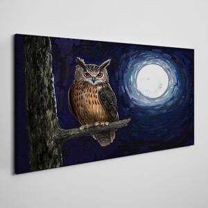 Obraz na plátně Obraz na plátně strom větev sova noční měsíc
