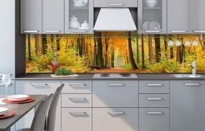 KI-260-045 Fototapeta do kuchyně Podzimní les | 260 x 60 cm