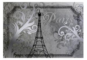 Fototapeta - Paříž - Vintage (stříbrná) 250x175 + zdarma lepidlo