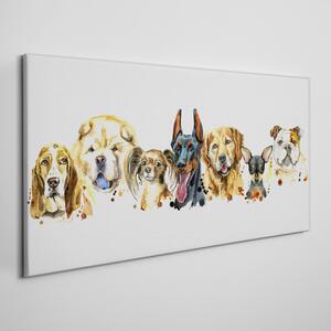 Obraz na plátně Obraz na plátně Malování mazlíčků psů