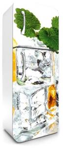 FR-180-023 Fototapeta na lednici Led s citrónem | 65 x 180 cm