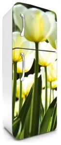 FR-180-026 Fototapeta na lednici Bílé tulipány | 65 x 180 cm