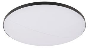 STROPNÍ LED SVÍTIDLO, 79,5/10,5 cm Novel - Stropní svítidla