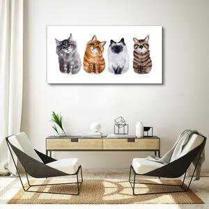 Obraz na plátně Obraz na plátně Malování zvířat kočky
