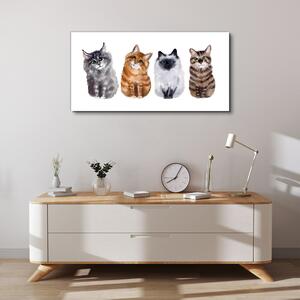 Obraz na plátně Obraz na plátně Malování zvířat kočky