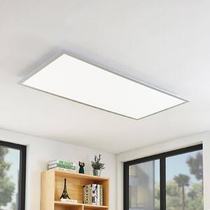 Lindby LED stropní svítidlo Zento, 120 cm, stříbrná, 4 000 K, Hliník / šedá / zinek, Kuchyň, Plast, Moderní