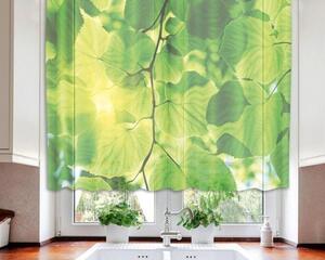 Hotové záclony do kuchyně - fotozáclony Zelené listy | 140 x 120 cm | zelená