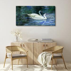 Obraz na plátně Obraz na plátně Jezero ptáků labutě vody