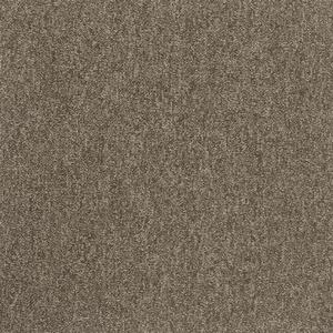 Modulyss | Kobercové čtverce First 601, rozměr 50 x 50 cm, hnědé