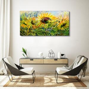 Obraz na plátně Obraz na plátně Květiny květiny slunečnice