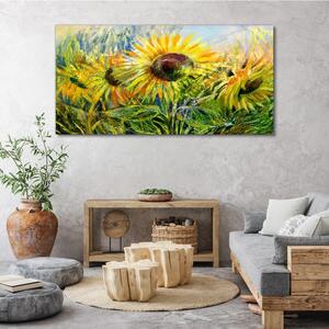 Obraz na plátně Obraz na plátně Květiny květiny slunečnice