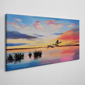 Obraz na plátně Obraz na plátně Lake Birds Sunset