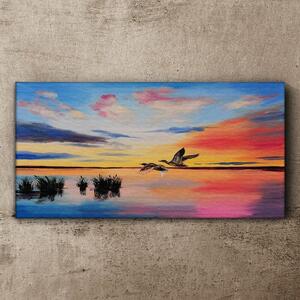 Obraz na plátně Obraz na plátně Lake Birds Sunset