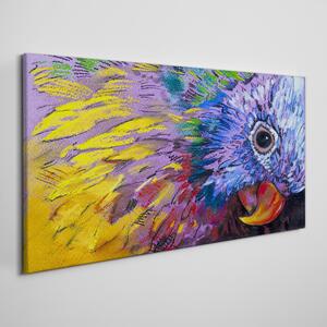 Obraz na plátně Obraz na plátně Abstraktní zvířecí parrot