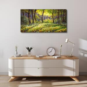 Obraz na plátně Obraz na plátně Lesní květiny Příroda