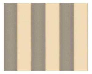 A.S. Création | Vliesová tapeta na zeď Versace 93546-5 | 0,70 x 10,05 m | šedá, béžová
