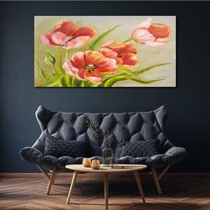 Obraz na plátně Obraz na plátně Květy rostlin listy