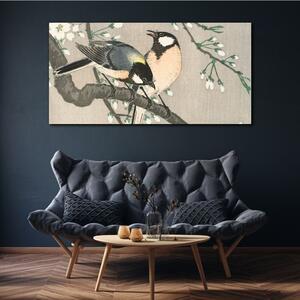 Obraz na plátně Obraz na plátně Příroda zvířata ptáků