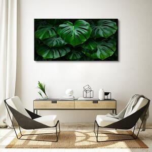 Obraz na plátně Obraz na plátně Moderní listy rostlin