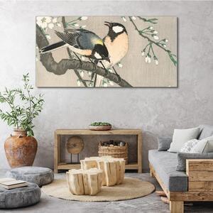 Obraz na plátně Obraz na plátně Příroda zvířata ptáků