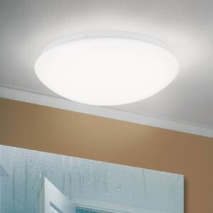 LED stropní svítidlo Nedo zakřivené, Ø 28,5 cm