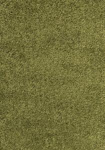 Vopi | Kusový koberec Dream Shaggy 4000 green - 160 x 230 cm
