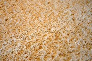 Vopi | Kusový koberec Dream Shaggy 4000 cream - 120 x 170 cm