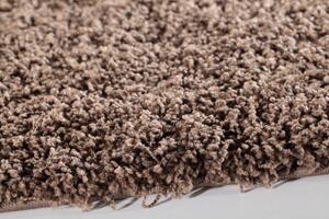 Vopi | Kusový koberec Dream Shaggy 4000 mocca - 60 x 110 cm