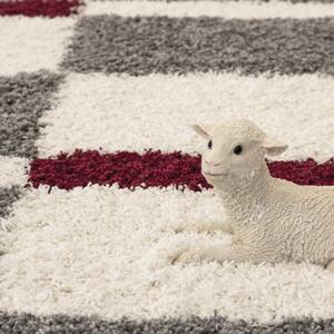 Vopi | Kusový koberec Gala shaggy 2505 red - 200 x 290 cm