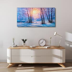 Obraz na plátně Obraz na plátně Zimní les slunce příroda