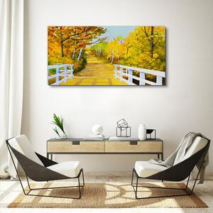 Obraz na plátně Obraz na plátně Bridge Forest podzim