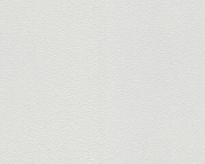 A.S. Création | Přetíratelná vliesová tapeta na zeď Meistervlies 1041-13 | 0,53 x 10,05 m | bílá přetíratelná