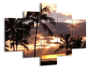 Vícedílný obraz Palmy a západ slunce 125x67