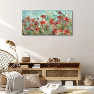 Obraz na plátně Obraz na plátně Květiny rostlina máku deště