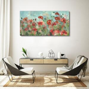 Obraz na plátně Obraz na plátně Květiny rostlina máku deště
