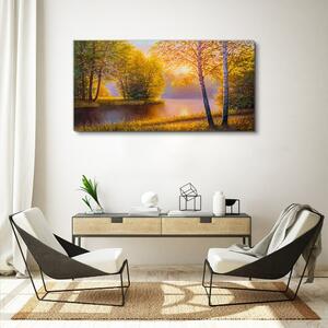 Obraz na plátně Obraz na plátně Květiny řeka příroda