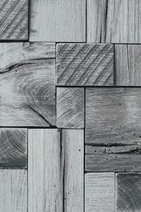 Vopi | Kusový koberec Parma 9260 black - 160 x 230 cm
