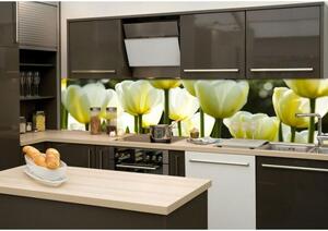 Skleněná stěna za kuchyňskou linku - Fotosklo Bílé tulipány