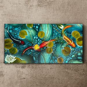 Obraz na plátně Obraz na plátně Ryby Koi Květiny Příroda